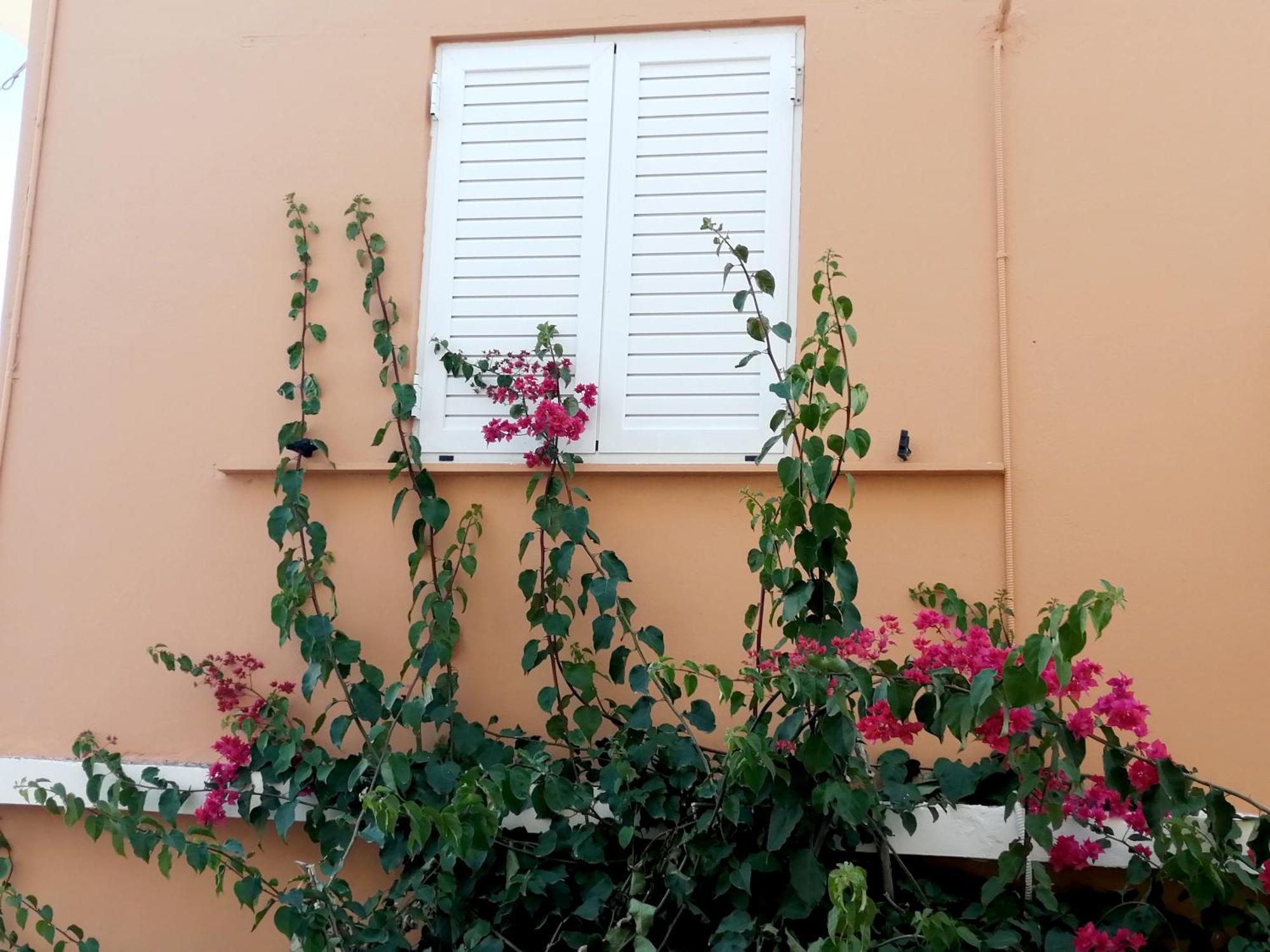 Katerina Rooms & Studios 古卡斯特隆 外观 照片